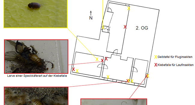 Eifler Restaurierung Museum Monitoring
